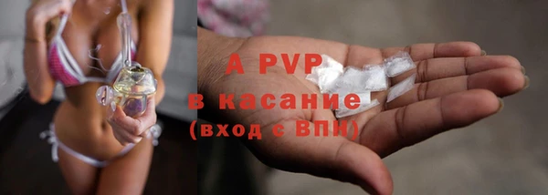 стаф Магас