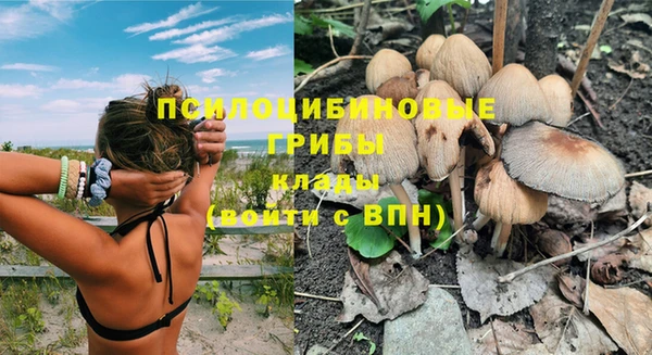 винт Сосновый Бор