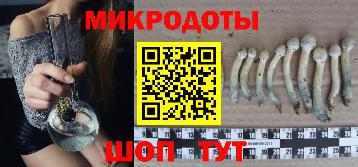 Псилоцибиновые грибы мицелий Нальчик