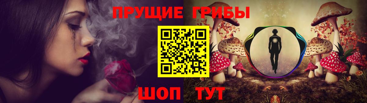 Галлюциногенные грибы Cubensis  Вход с VPN  Нальчик  Галлюциногенные грибы мухоморы 
